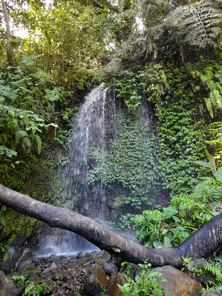 How to Get to Tres Aguas Falls + Travel Guide » Shellwanders