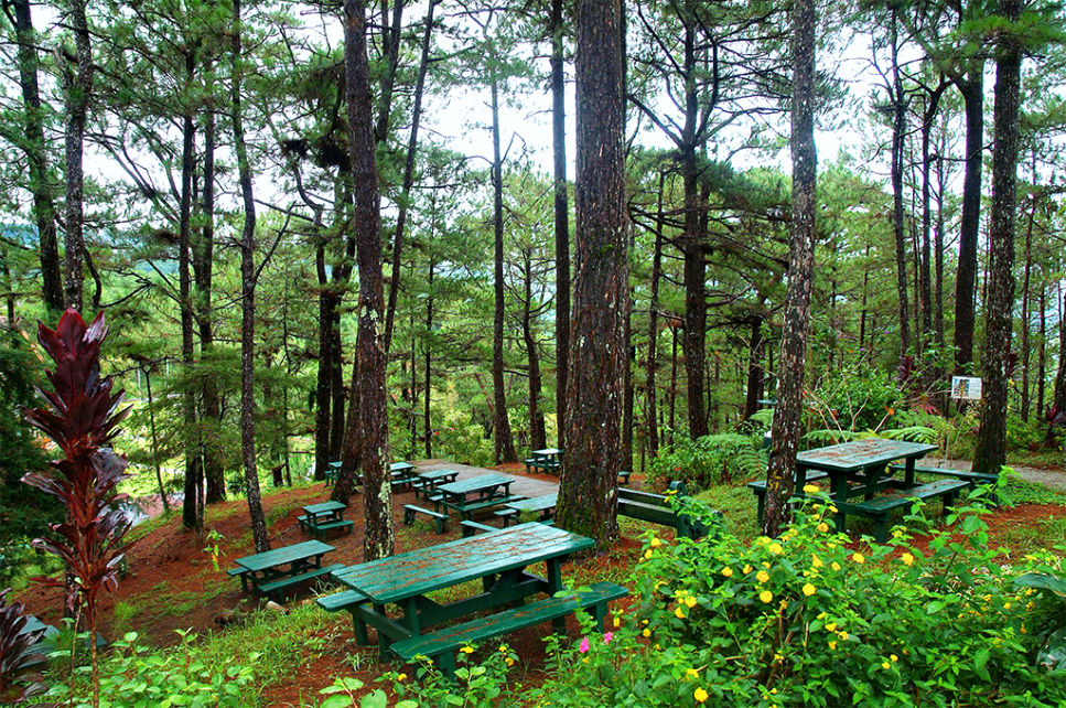 Camp John Hay Baguio: A Hidden Gem In The Heart Of Baguio City ...